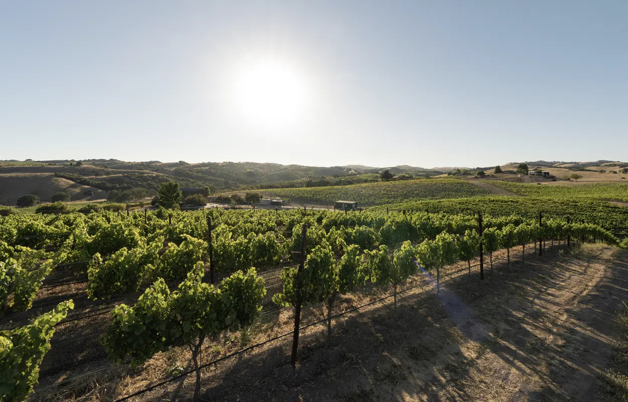 Truss Wines Paso Robles Winery Blog