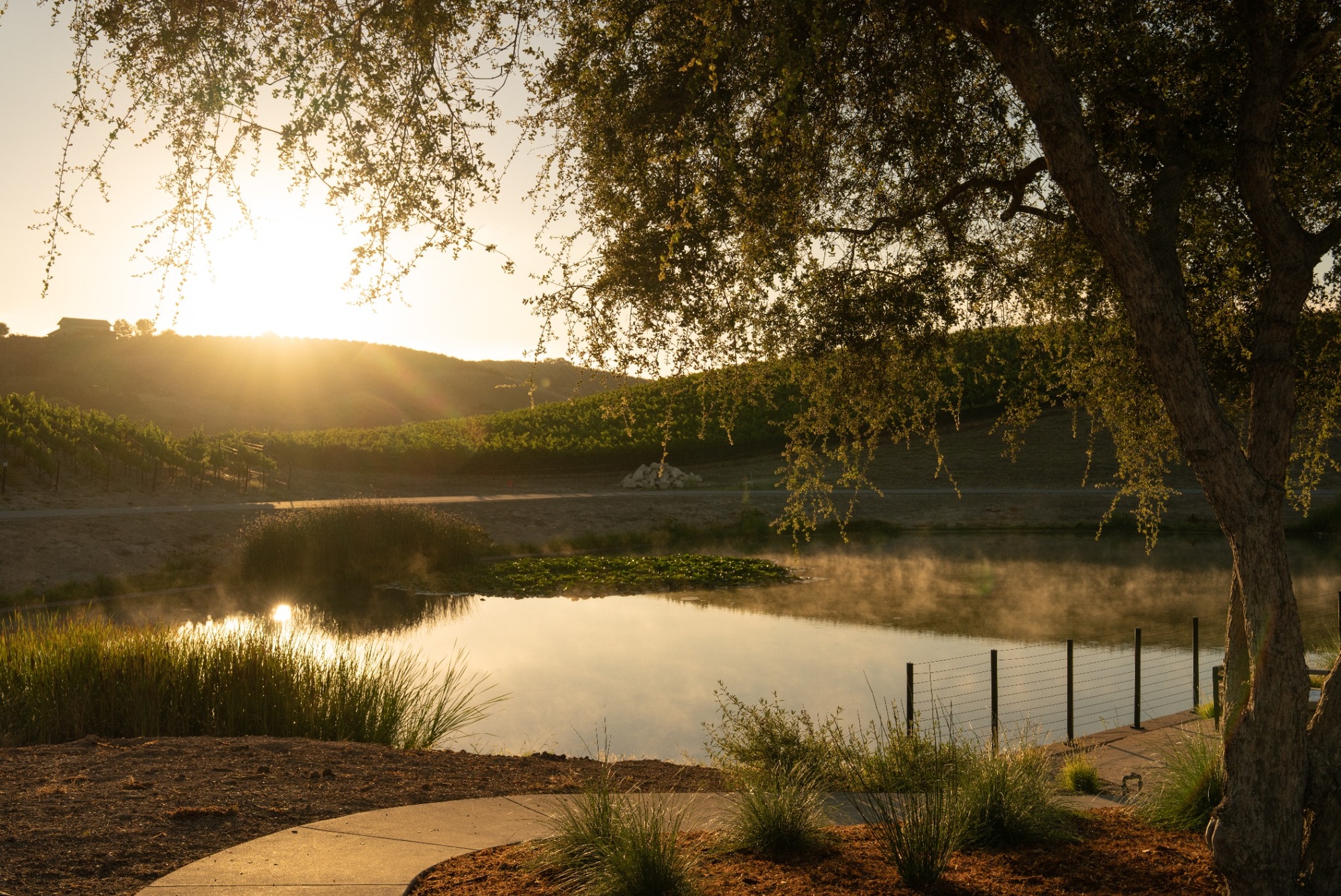 Truss Wines Paso Robles