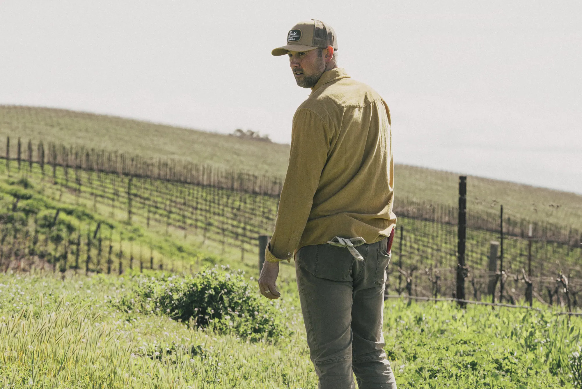 Truss Wines Paso Robles Wine Stories & Insights