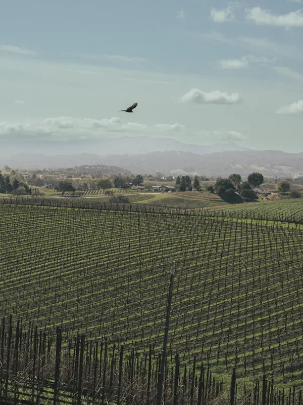 Visit Truss Wines Paso Robles