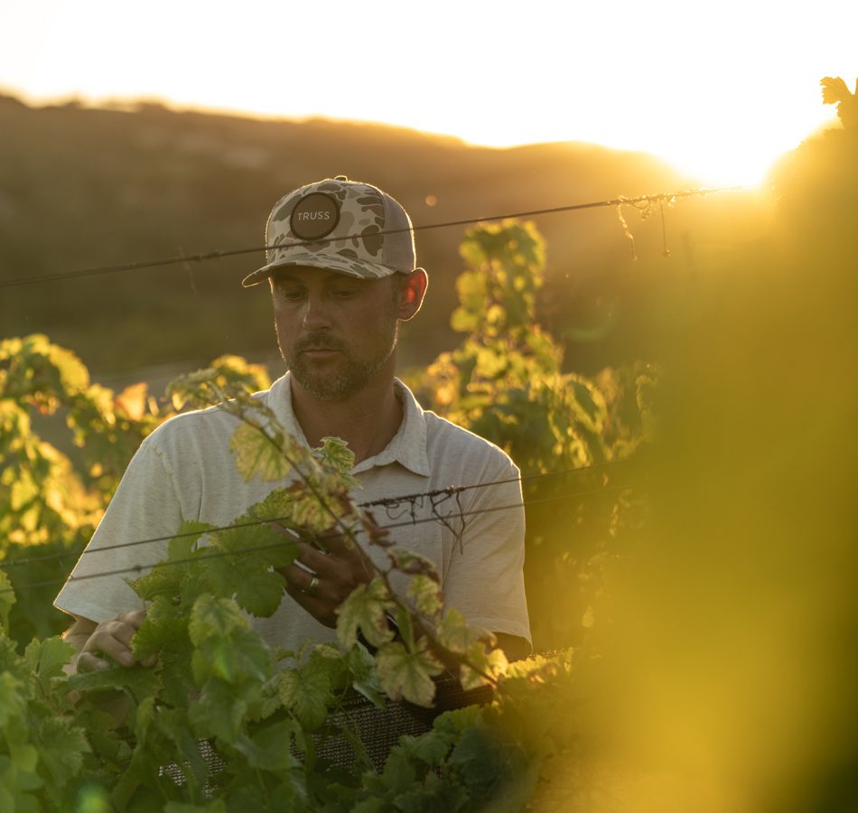 Kyle Jury Truss Wines Winemaker working in vineyard during sunset hours